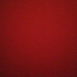 Meet your Posher, Danita